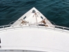Hariyana One front upper deck