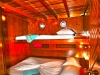 Hope cruiser cabins 