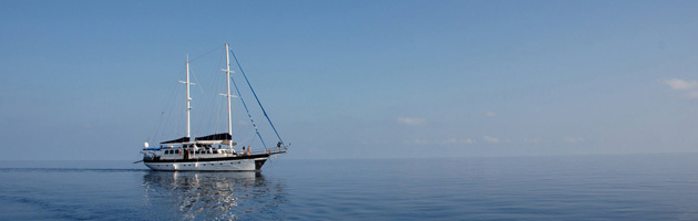 Aldebaran – charter a boat trip (flexible dates) Live-aboard charter, The Maldives.