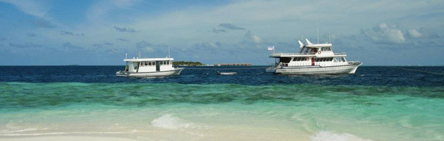 Maavahi-charter a boat trip (flexible dates) Live-aboard charter, the Maldives.