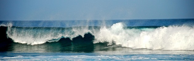 Surfing in the Maldives
