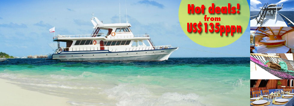 Maavahi Offers - Maldives surfing deals from US$135pppn, The Maldives