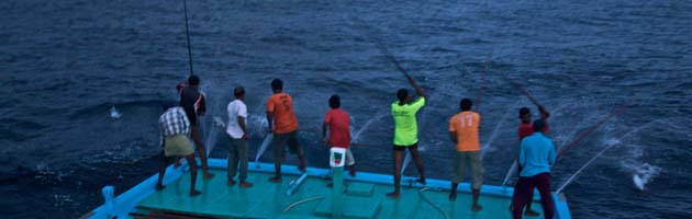 WWF Approves Maldives for Indian Ocean’s first Marine Stewardship Council Certification