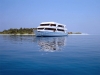 Ari-Queen-Exterior-1