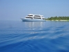 Ari-Queen-Exterior