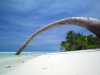 beach-infront-of-reveries-diving-village
