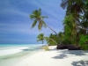 beach-infront-of-reveries