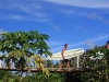 surfers