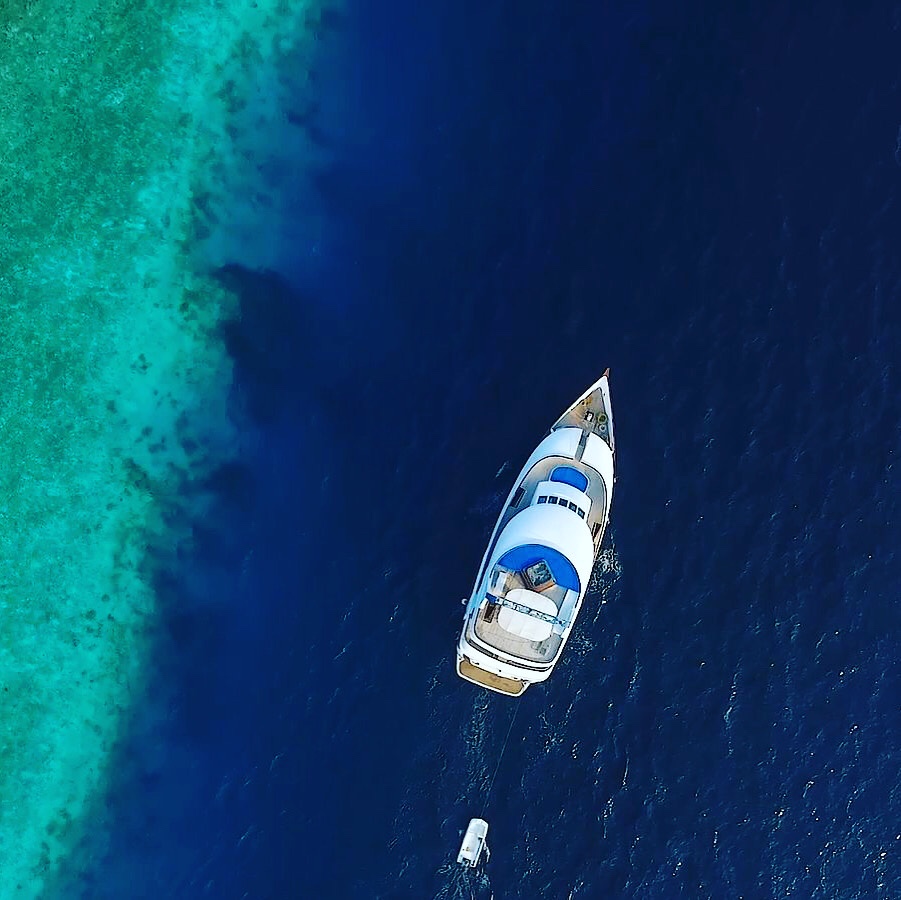 Searching for a boat charter in Maldives? - Elysian Maldives